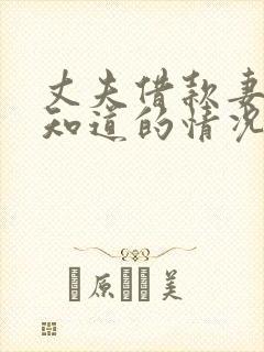 丈夫借款妻子不知道的情况被起诉