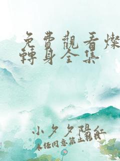 免费观看灿烂的转身全集