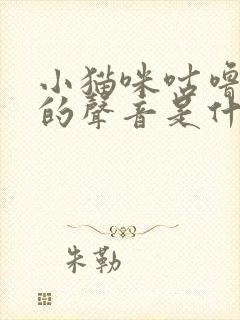 小猫咪咕噜咕噜的声音是什么意思