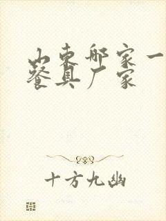 山东哪家一次性餐具厂家