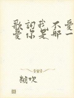 歌词我不爱你谁爱你是哪一首歌
