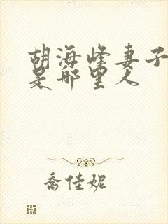 胡海峰妻子刘芸是哪里人