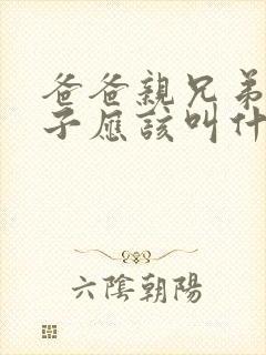 爸爸亲兄弟的儿子应该叫什么