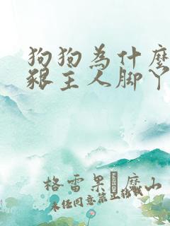 狗狗为什么喜欢啃主人脚丫子