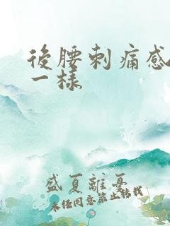 后腰刺痛感针扎一样