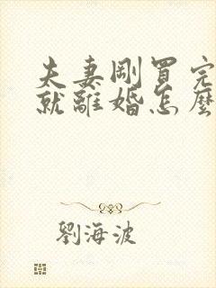 夫妻刚买完房子就离婚怎么办