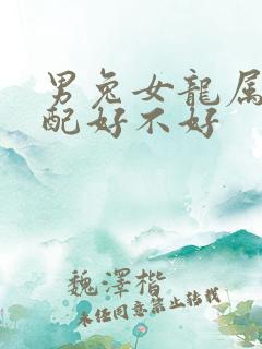 男兔女龙属相婚配好不好