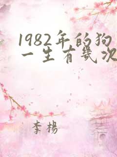 1982年的狗一生有几次婚姻