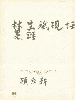 林生斌现任妻子是谁