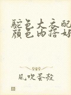 驼色大衣配什么颜色内搭好看