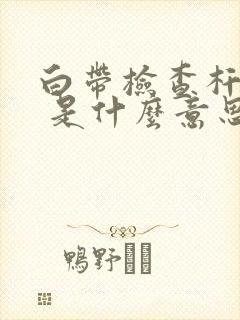 白带检查杆菌2 是什么意思