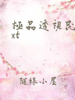 极品透视民工txt