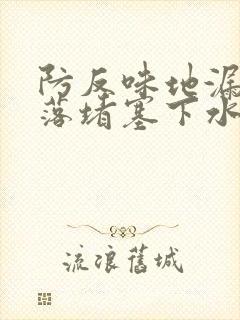 防反味地漏芯脱落堵塞下水道