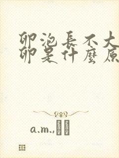 卵泡长不大不排卵是什么原因