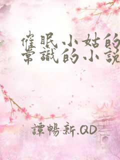 催眠小姑的改变常识的小说