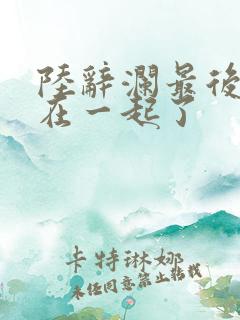 陆辞澜最后和谁在一起了