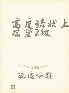 高度鳞状上皮内病变2级