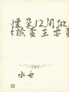 怀孕12周做nt检查主要查的什么?