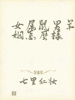 女属鼠男羊的婚姻怎么样