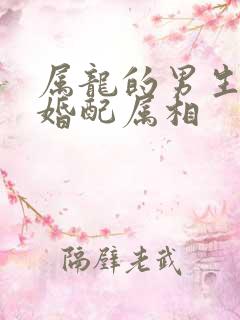 属龙的男生最佳婚配属相