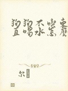 狗狗不吃东西一直喝水怎么回事