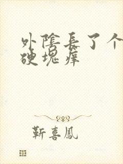 外阴长了个大痘硬块痒