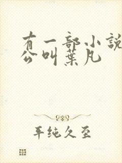 有一部小说主人公叫叶凡