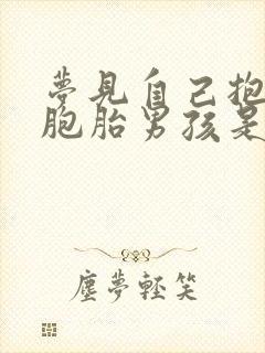 梦见自己抱着双胞胎男孩是什么意思