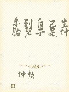 梦到自己生双胞胎儿子是什么预兆