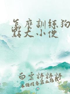 怎么训练狗子定点大小便