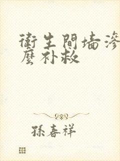 卫生间墙渗水怎么补救