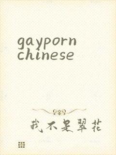 gaypornchinese
