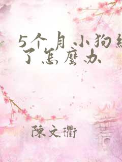 5个月小狗细小了怎么办