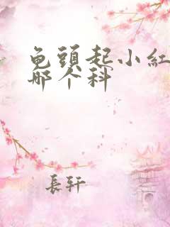 龟头起小红斑挂哪个科