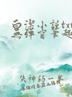 白洁小说txt无弹窗笔趣阁