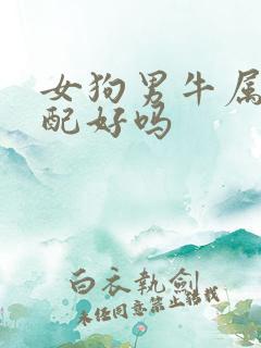 女狗男牛属相婚配好吗