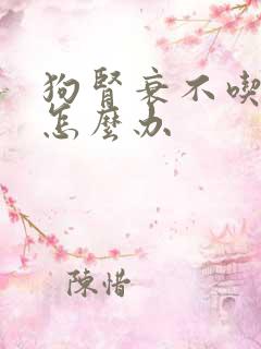 狗肾衰不吃东西怎么办