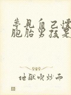 梦见自己怀了双胞胎男孩是什么意思