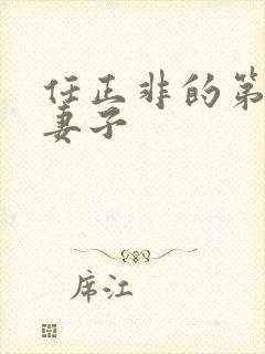 任正非的第一任妻子