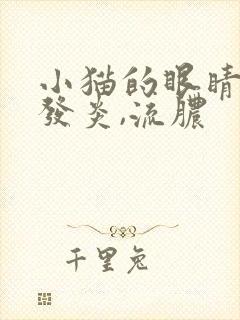 小猫的眼睛红肿发炎,流脓