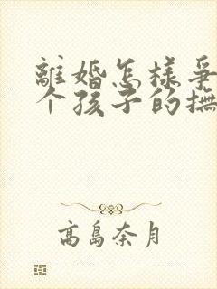 离婚怎样争取两个孩子的抚养权