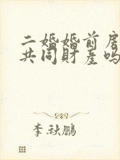 二婚婚前房子算共同财产吗