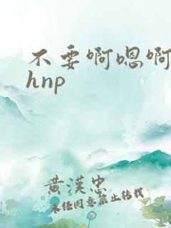 不要啊嗯啊啊啊hnp