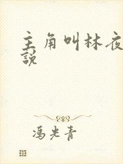 主角叫林夜的小说