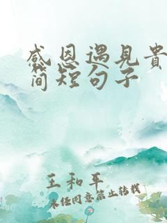 感恩遇见贵人的简短句子