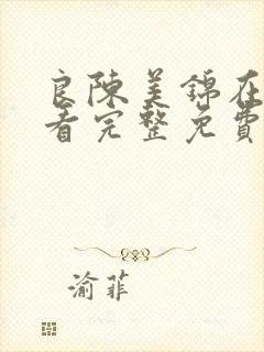 良陈美锦在线观看完整免费版电视剧