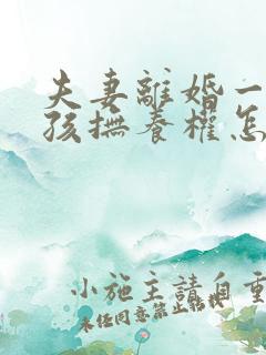 夫妻离婚一个小孩抚养权怎么判