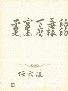 子宫下垂的感觉是怎么样的症状