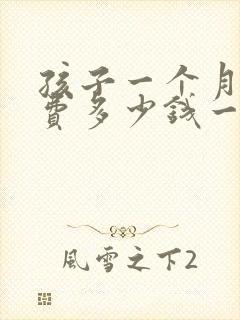 孩子一个月抚养费多少钱一个月