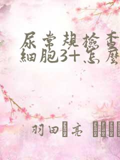 尿常规检查尿白细胞3+怎么回事